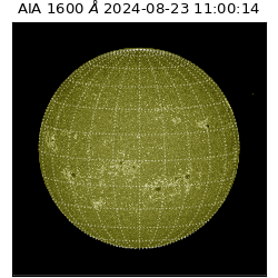 saia - 2024-08-23T11:00:14.130000