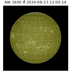 saia - 2024-08-23T12:00:14.130000