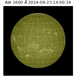 saia - 2024-08-23T14:00:14.130000