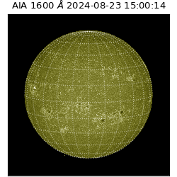 saia - 2024-08-23T15:00:14.130000