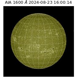 saia - 2024-08-23T16:00:14.130000