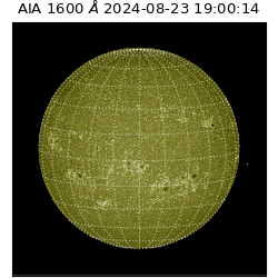 saia - 2024-08-23T19:00:14.130000