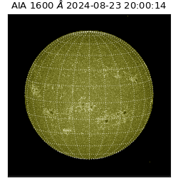 saia - 2024-08-23T20:00:14.130000