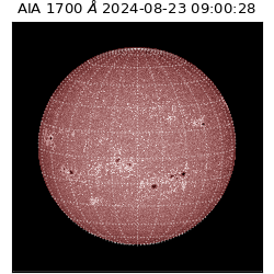 saia - 2024-08-23T09:00:28.720000