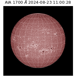 saia - 2024-08-23T11:00:28.720000