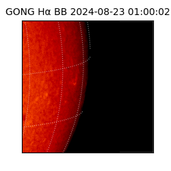 gong - 2024-08-23T01:00:02