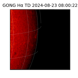 gong - 2024-08-23T08:00:22