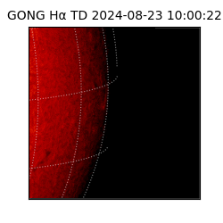 gong - 2024-08-23T10:00:22