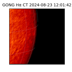 gong - 2024-08-23T12:01:42