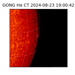 gong - 2024-08-23T19:00:42