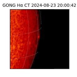 gong - 2024-08-23T20:00:42