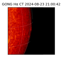 gong - 2024-08-23T21:00:42