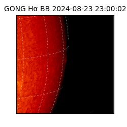 gong - 2024-08-23T23:00:02