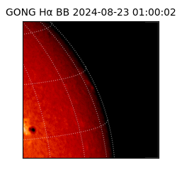 gong - 2024-08-23T01:00:02