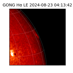 gong - 2024-08-23T04:13:42