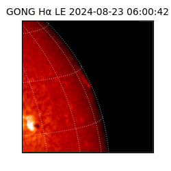 gong - 2024-08-23T06:00:42