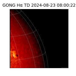 gong - 2024-08-23T08:00:22