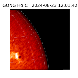 gong - 2024-08-23T12:01:42