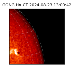 gong - 2024-08-23T13:00:42