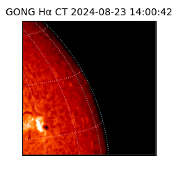 gong - 2024-08-23T14:00:42