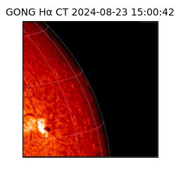 gong - 2024-08-23T15:00:42