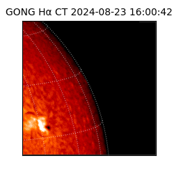 gong - 2024-08-23T16:00:42