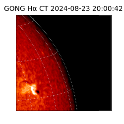 gong - 2024-08-23T20:00:42