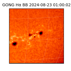 gong - 2024-08-23T01:00:02