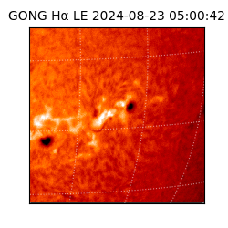 gong - 2024-08-23T05:00:42