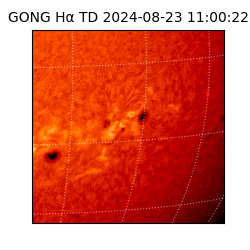 gong - 2024-08-23T11:00:22