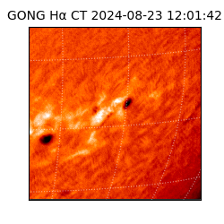 gong - 2024-08-23T12:01:42