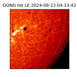 gong - 2024-08-23T04:13:42