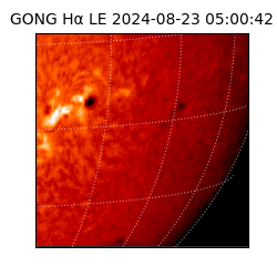 gong - 2024-08-23T05:00:42