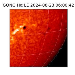 gong - 2024-08-23T06:00:42