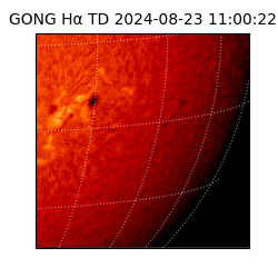 gong - 2024-08-23T11:00:22