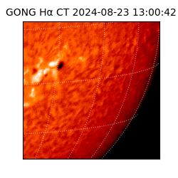 gong - 2024-08-23T13:00:42