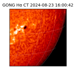 gong - 2024-08-23T16:00:42