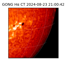 gong - 2024-08-23T21:00:42