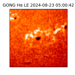 gong - 2024-08-23T05:00:42