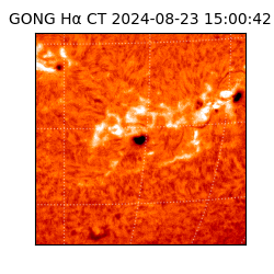 gong - 2024-08-23T15:00:42