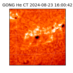 gong - 2024-08-23T16:00:42