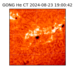 gong - 2024-08-23T19:00:42