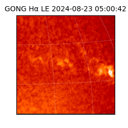 gong - 2024-08-23T05:00:42