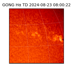 gong - 2024-08-23T08:00:22