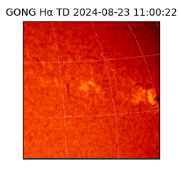 gong - 2024-08-23T11:00:22