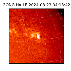 gong - 2024-08-23T04:13:42