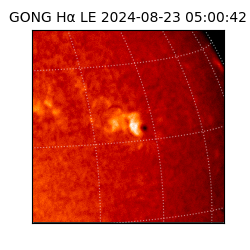 gong - 2024-08-23T05:00:42
