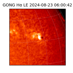 gong - 2024-08-23T06:00:42