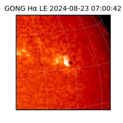 gong - 2024-08-23T07:00:42