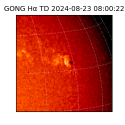 gong - 2024-08-23T08:00:22